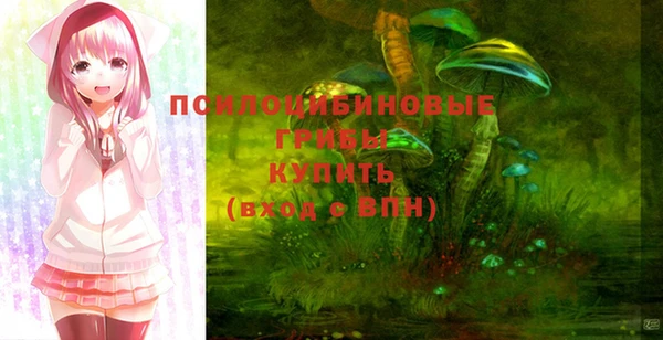 мескалин Абинск
