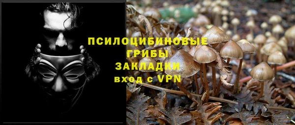тгк Абаза