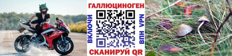 Галлюциногенные грибы Cubensis  Янаул 